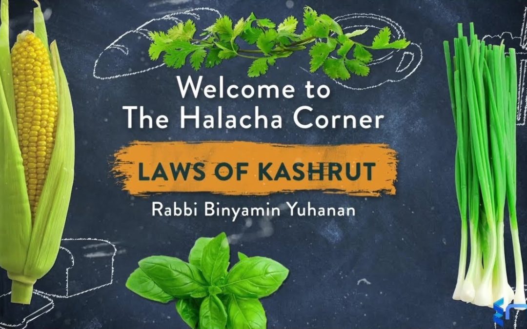 Rabbi Binyamin Yuhanan – Laws of Kashrut