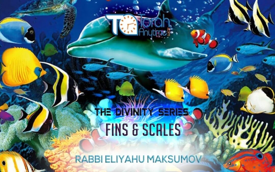 Rabbi Eliyahu Maksumov – Divinity Series – Torah & Science – Fins & Scales