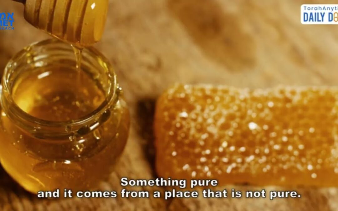 Emet Inspire – Rabbi Eliyahu Maksumov – The Buzz of the Honey