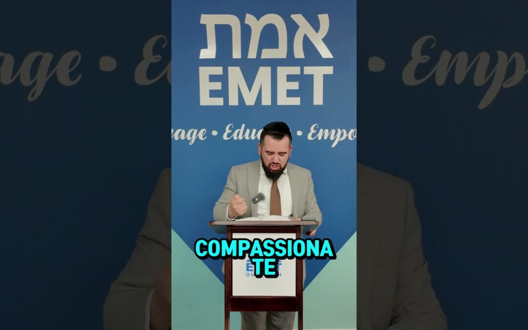 Rabbi Michoel Fuzailov
